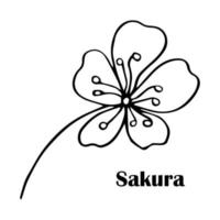Sakura flower doodle icon. Back line isolated on white. One line contour floral drawing.Vector illustration vector