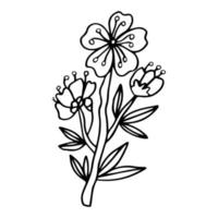 Flower art line. Sakura or Apple blossoms in vector isolated on white background. Spring flowers drawn in black and white line. Icon or symbol of spring and flowers.Doodle outline. Sketch.