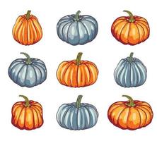 set of blue and orange pumpkins of different shapes on a white background. vector