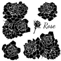 vector set of monochrome rose flowers. black and white rose vector illustration
