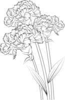 arte vectorial de clavel, patrón floral monocromático. dibujo de lápiz dibujado a mano con ilustración vectorial de tinta, rama de la simplicidad de la colección botánica, artístico, libro de colorear para niños y adultos. vector