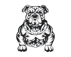 Black and White body builder Bulldog vector illustration, body builder dog vector