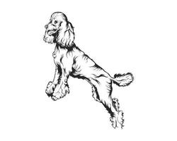 Poodle Dog Vector Illustration, Poodle breed Vector on White Background for t-shirt , logo and others