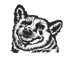 Shiba Inu Dog Vector Illustration, Shiba Inu breed Vector on White Background for t-shirt , logo and others