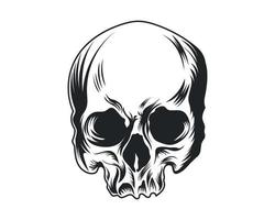 Vintage human skull vector illustration for t-shirt, logo and others