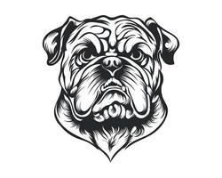 Black and White Bulldog vector illustration, Angry face bull dog vector