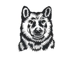 Shiba Inu Dog Vector Illustration, Shiba Inu breed Vector on White Background for t-shirt , logo and others