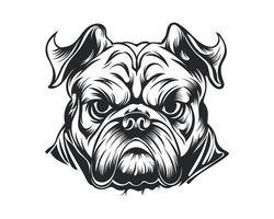 Black and White Bulldog vector illustration, Angry face bull dog vector