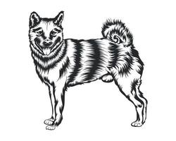 Shiba Inu Dog Vector Illustration, Shiba Inu breed Vector on White Background for t-shirt , logo and others