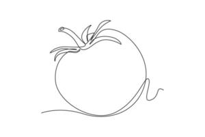 Single one line drawing tomato. Vegetable concept. Continuous line draw design graphic vector illustration.