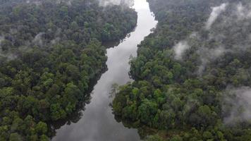 Antenne Aussicht aussehen Nieder Fluss See von Regenwald im neblig Tag video