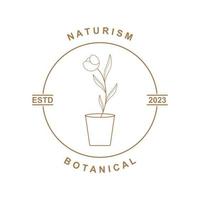 botanical logo illustration for beauty natural organic brand vector