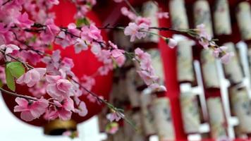 nep sakura bloem golvend door wind met achtergrond van Japan lantaarn decoratie video