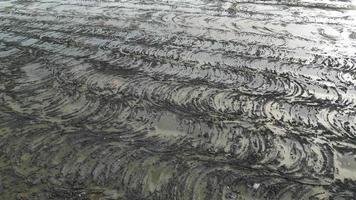 Aerial fly over land clearing activity at wetland video