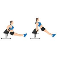 Woman doing bench tricep dips exercise. Flat vector illustration isolated on white background