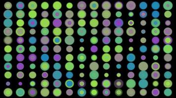 Circle dot transition color animation background video