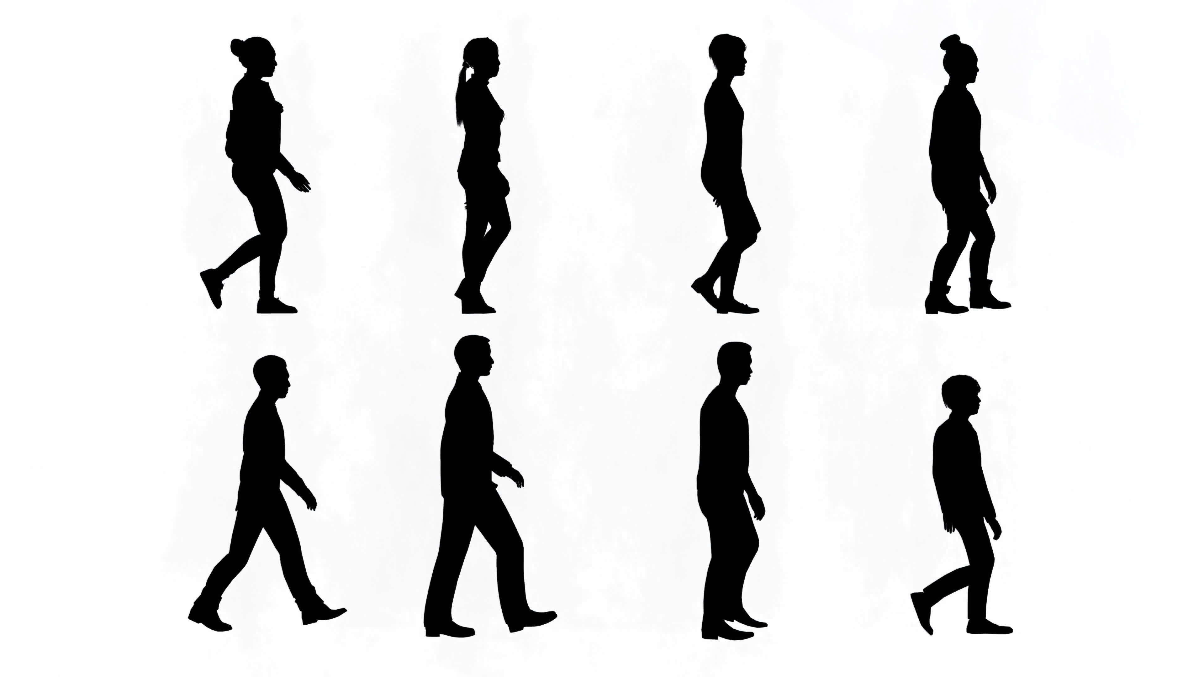 3D rendering,silhouette group of human walking isolated graphics on white background,Visual