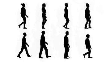 3d renderizado,silueta grupo de humano caminando aislado gráficos en blanco fondo visual efecto 3d animación para visualización. video