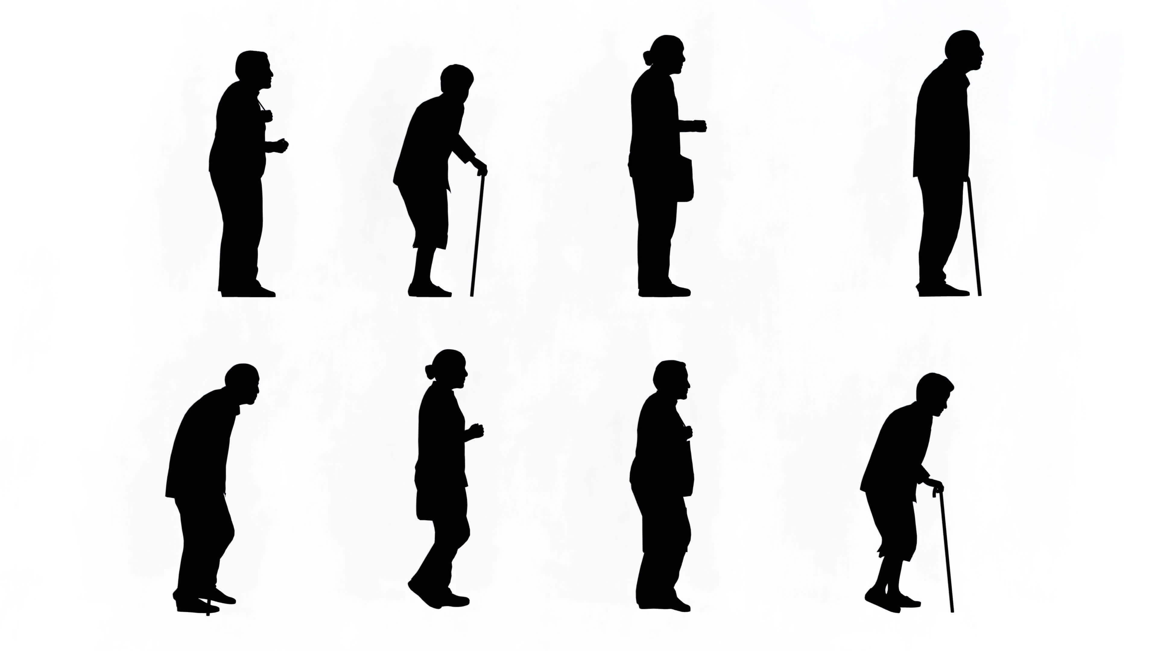 3D rendering,silhouette group of elderly or old people isolated graphics on white background