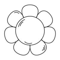 Camomile daisy chamomile line icon. vector