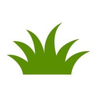 Green Grass icon. vector