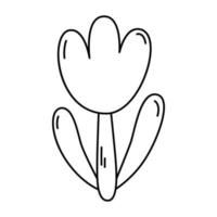 Tulip linear icon. vector