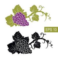 The grapes are symbols. Vector isolated signs. Isolated white background.