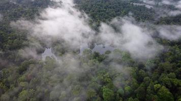 Aerial view white cloud over lake in forest video