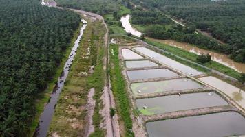 Aerial move over shrimp fish farm video