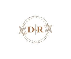 initial DR letters Beautiful floral feminine editable premade monoline logo suitable for spa salon skin hair beauty boutique and cosmetic company. vector