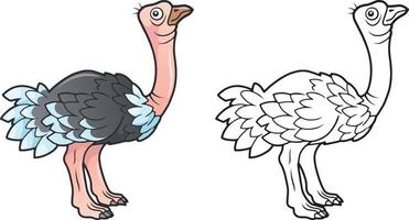 ostrfunny cartoon ostrich coloring bookich.eps vector