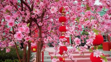 Select focus red lantern decoration and fake plum blossom video