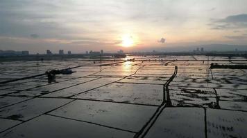 Drone shot sliding over water paddy field video