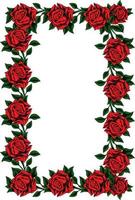 frame red rose vector design