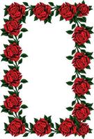 frame red rose vector design