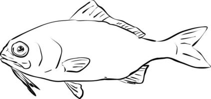 Beardfish Hawaii Fish Cartoon Drawing Black and White vector