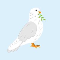 White Dove of Peace with an Olive Branch on a Blue Background vector