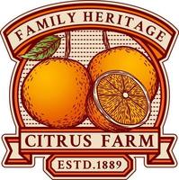 vintage badge logo emblem of orange farm with hand drawn style, engraved, ribbon, colorful realistic vector