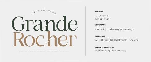 Luxury sans serif alphabet letters font and number. Classic Lettering Minimal Fashion. Typography decorative wedding fonts and logo. vector illustration