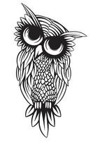 Illustration of a owl vector