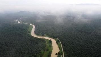 aéreo mosca sobre enevoado nuvem perto rio e óleo Palma plantação video