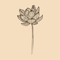 Lotus flower vector illustration with line art