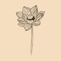 Lotus flower vector illustration with line art