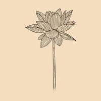 Lotus flower vector illustration with line art