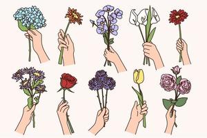 Set of people hands holding various flowers. Collection of persons with floral bouquet or compositions greet congratulate with special occasion. Botany, florist occupation. Vector illustration.