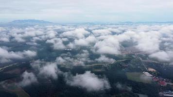 White cloud over green oil palm farm in cloudy day video