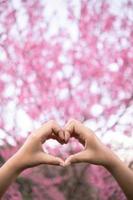male and female couple showing their hands up to form heart symbol to show friendship love and kindness because heart is symbol of love. male and female couple showing their love with heart symbol photo