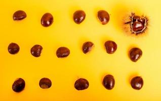 Stylish composition of chestnut on yellow background photo