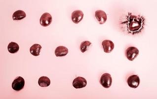 Stylish composition of chestnut on pink background photo