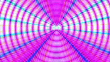 chroma spinnen Bij centrum in roze animatie achtergrond video